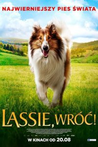 Lassie, wróć!